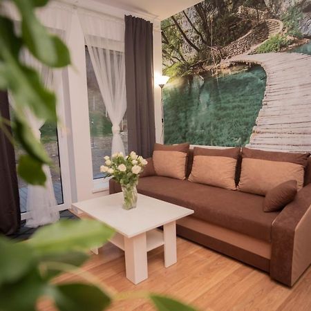 Apartamenty Goszowita Строне-Шльонське Екстер'єр фото