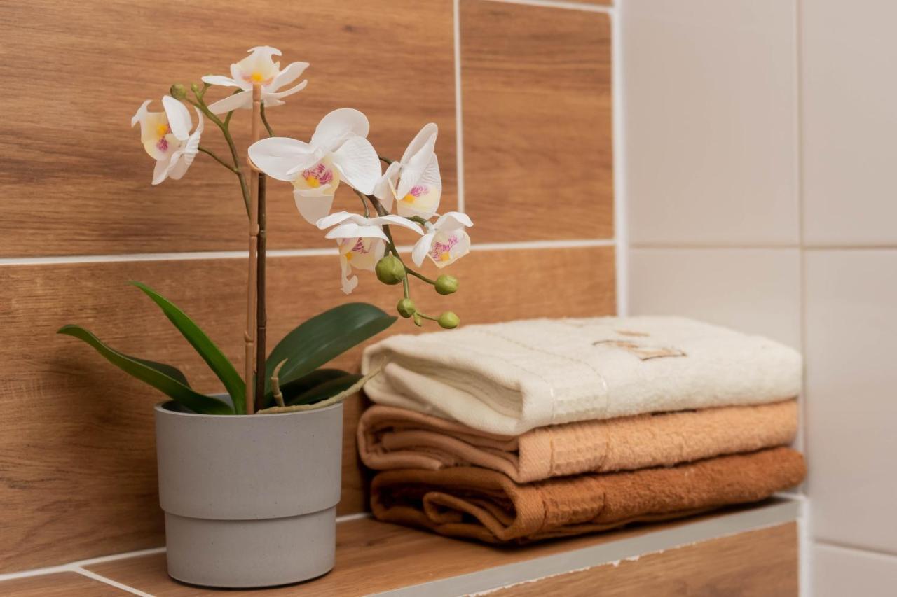 Apartamenty Goszowita Строне-Шльонське Екстер'єр фото