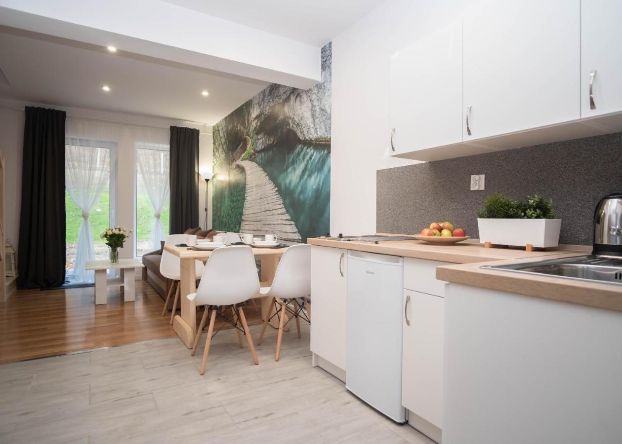 Apartamenty Goszowita Строне-Шльонське Екстер'єр фото